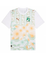 Cote d'Ivoire away jersey